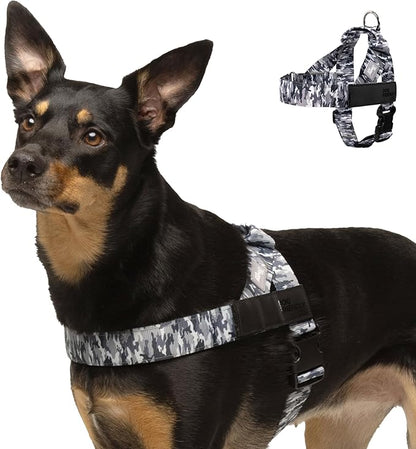 Personalized Dog Harness