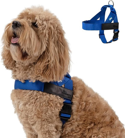Personalized Dog Harness