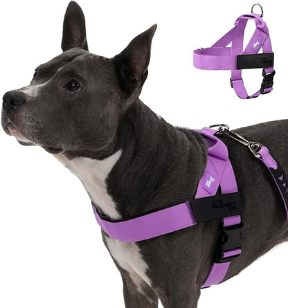 Personalized Dog Harness