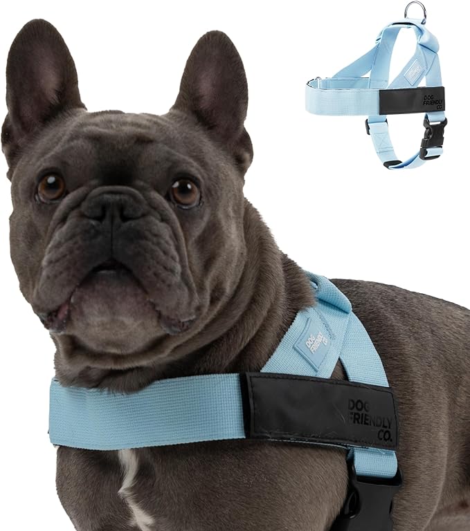 Personalized Dog Harness