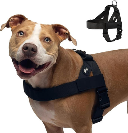 Personalized Dog Harness