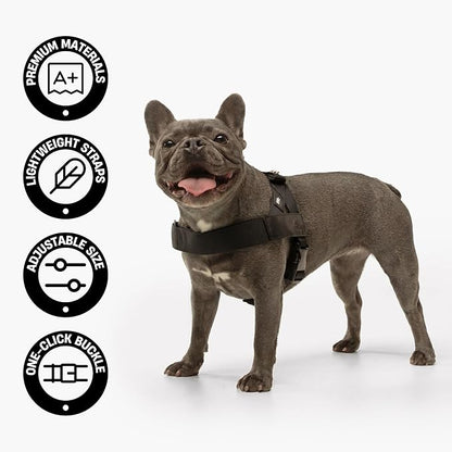 Personalized Dog Harness