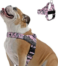 Pink Camo