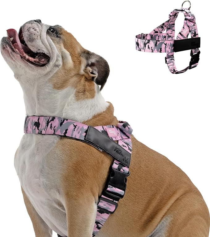 Personalized Dog Harness