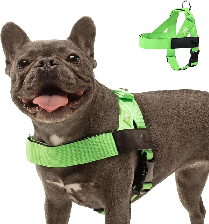 Personalized Dog Harness