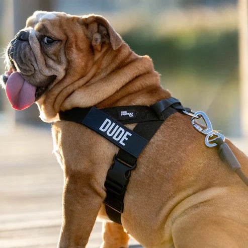 Personalized Dog Harness