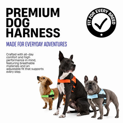 Personalized Dog Harness