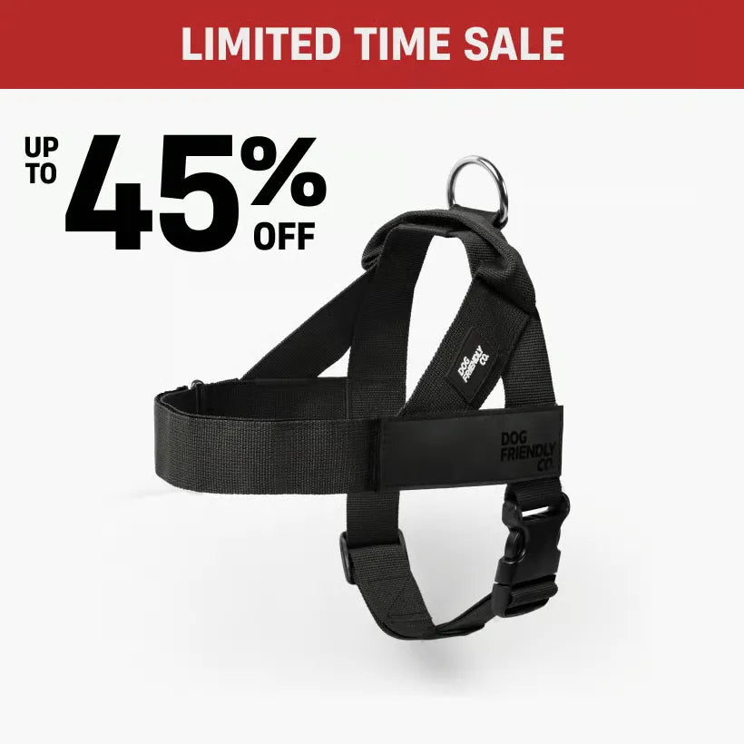 Dog Harness