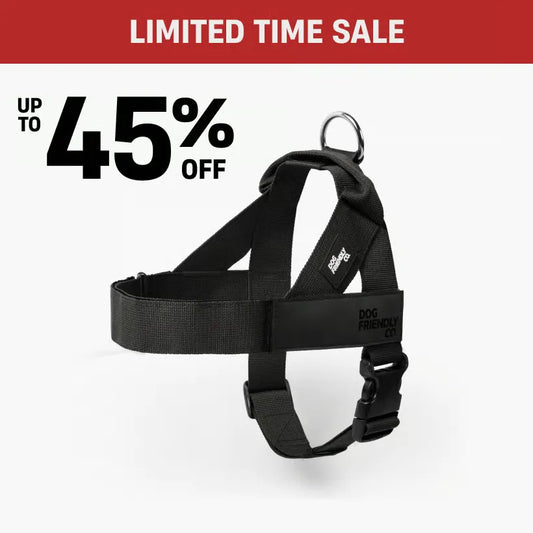 Dog Harness